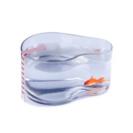 Piscina fish tank