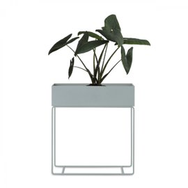 Cache vase Plant