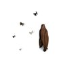 6 Butterfly Bice coat hooks