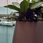 Pandora Plant Vase