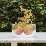 Frutteti Come d'autunno a New York fruit bowl