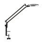 Link LED table lamp with clamp