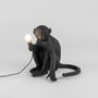 Lampe d'extérieur Monkey assis