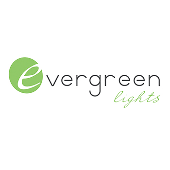 Evergreen Lights