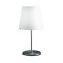 3247 small table lamp